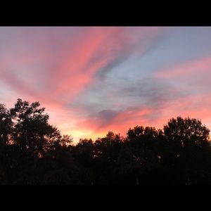 Meet your Posher, Isabel